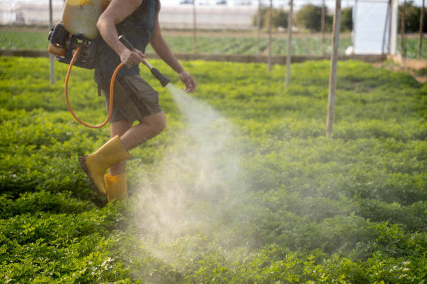 Best Residential Pest Control  in Pymatuning Central, PA