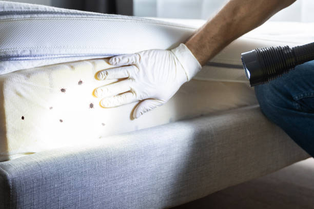 Best Mosquito Control Services  in Pymatuning Central, PA