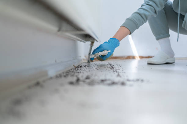 Best Bed Bug Extermination  in Pymatuning Central, PA