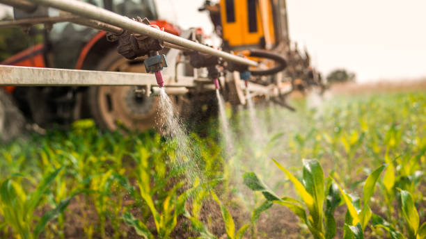 Best Insect Control  in Pymatuning Central, PA
